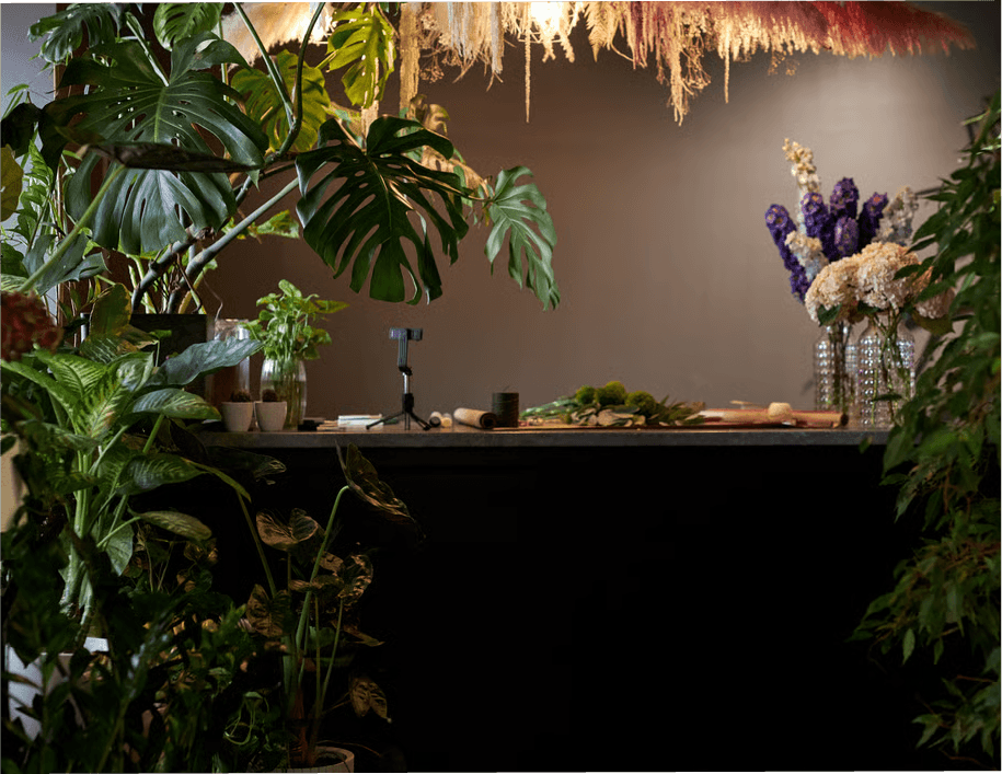 Organizacion de eventos